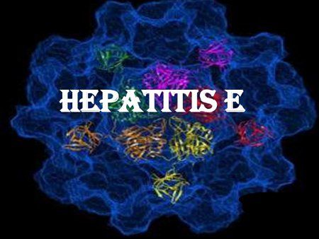 Is hepatitis E transmitted through saliva?