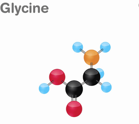 9 lợi ích và công dụng hàng đầu của Glycine