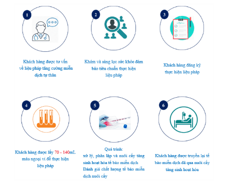 
Hình 1: Quy trình thực hiện liệu pháp tăng cường miễn dịch tự thân tại Vinmec
