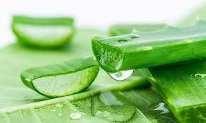 What are the benefits of aloe vera for facial skin?