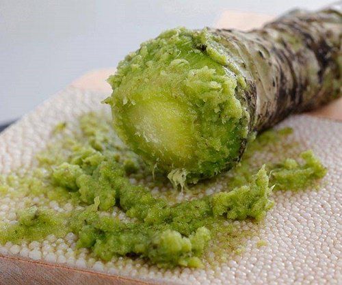 6 lợi ích sức khỏe đầy hứa hẹn của Wasabi