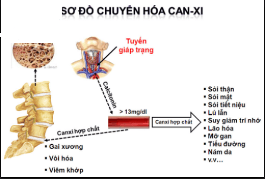 3. Các thể bệnh Galactosemia