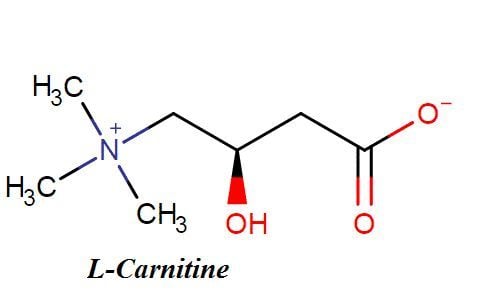 
L- Carnitine có tác dụng làm tan mỡ, chống tích tụ mỡ thừa
