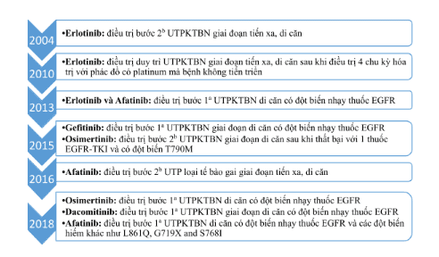 
Sơ đồ thời gian về các chấp thuận sử dụng thuốc nhắm trúng đích EGFR của Cục quản lý thực phẩm và dược phẩm Hoa Kỳ
