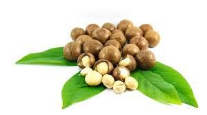 
Hạt Macadamia giàu chất xơ tốt cho hệ tim mạch
