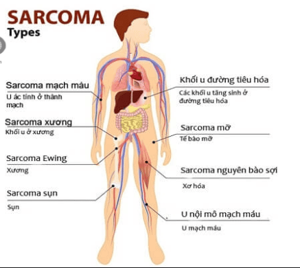 4. Lợi Ích Của Dịch Vụ 1595