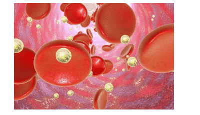 Tế bào máu sinh ra ở đâu?