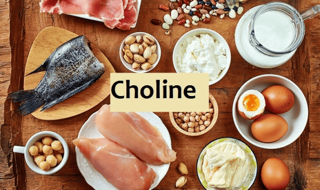 Foods Rich In Choline 