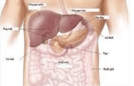 Diagnosis and treatment of cancer around the ampulla of Vater