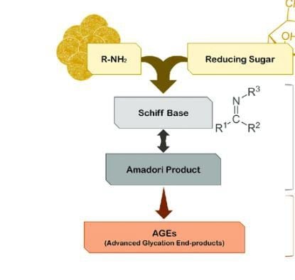 
Cơ chế hình thành glycation tiên tiến không gây dị ứng (AGEs)
