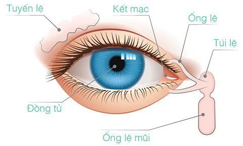 Indication of conjunctival suture