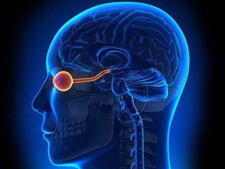 Neuromyelitis optica spectrum disorders