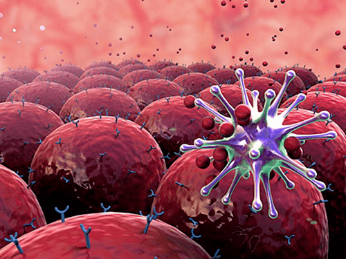 Những yếu tố nào làm tăng nguy cơ mắc u lympho tế bào T?