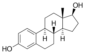 
Estradiol đóng vai trò quan trọng đối với chức năng sinh sản của phụ nữ
