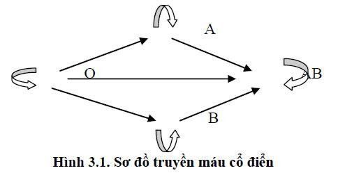 
Sơ đồ truyền máu
