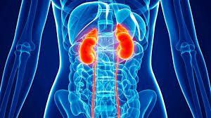 Medications that can harm your kidneys