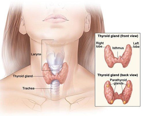 Phẫu thuật nội soi cắt một phần thùy giáp trạng