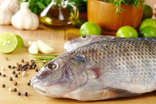 Assess the role of fish in the daily diet