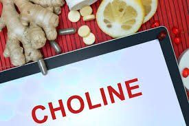 
Choline giúp tổng hợp được chất béo Sphingomyelin
