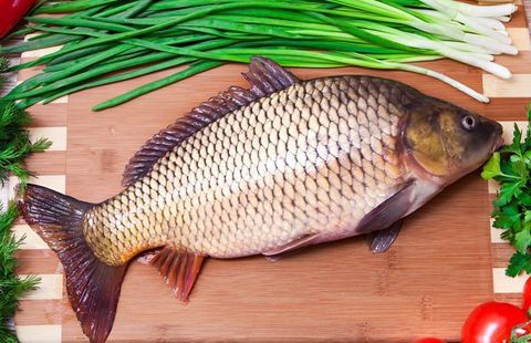 Nutritional composition of carp