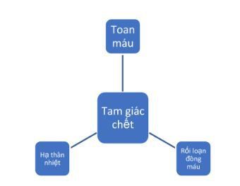 Some important points in bulk blood transfusion