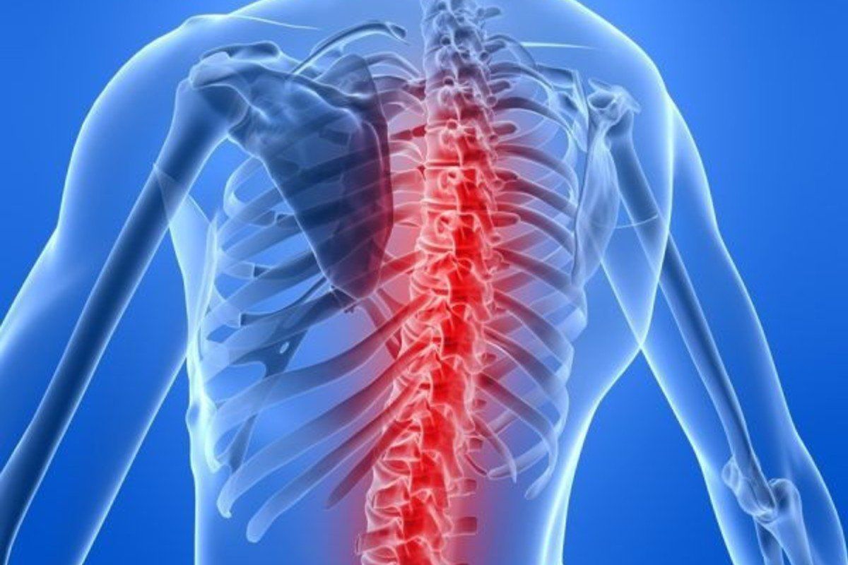 Features of X-ray anatomy of the spine