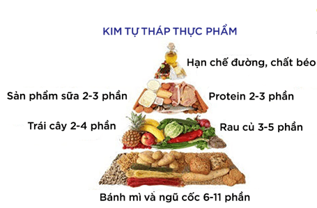 
Tháp dinh dưỡng dành cho người muốn giảm cân
