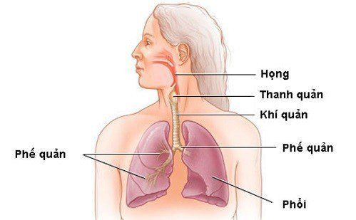 Laparoscopic laryngotracheal stenosis surgery