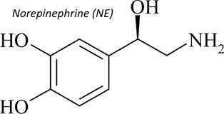 
Norepinephrine làm tăng cung lượng tim mức độ nhẹ
