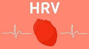 What is heart rate and how is it measured?