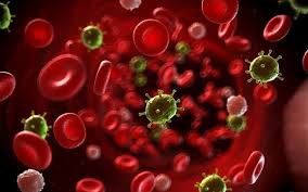 Kết quả xét nghiệm bạch cầu như thế nào là bị nhiễm trùng máu?
