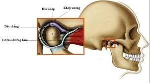 
Kỹ thuật chụp Xquang xương chũm giúp xác định bệnh lý khớp thái dương hàm
