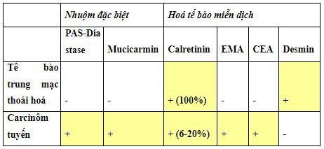 
Bảng 2: Phân biệt tế bào trung mạc thoái hoá và tế bào carcinôm tuyến bằng nhuộm đặc biệt và hoá tế bào miễn dịch
