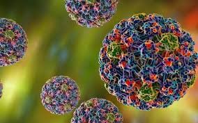 Nhiễm virus HPV có ảnh hưởng đến sức khỏe sinh sản không?