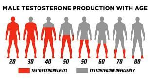 
Suy sinh dục nam là một hội chứng lâm sàng biểu hiện bởi sự thiếu hụt testosterone
