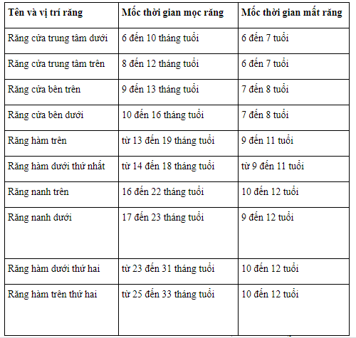 Răng sữa của trẻ: Khi nào sẽ mọc và rụng?