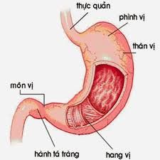 How to definitively treat congestive antral inflammation, gastroesophageal reflux with pharyngitis?