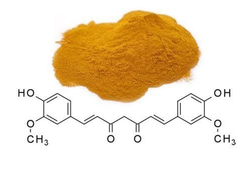 Does curcumin from turmeric have the ability to slow cancer growth?