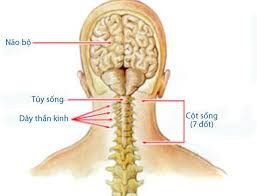 Dập tủy cổ chữa trị như thế nào?