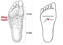 
Huyệt dũng tuyền nằm ở trong lòng bàn chân
