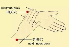 
Huyệt nội quan nằm ở trong lòng bàn chân, giữa hai gân
