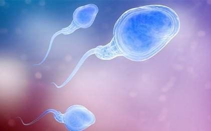 What is the probability of having a baby with sperm screening?
