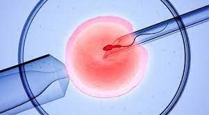 After 10 days of embryo transfer, how much hCG should I have to conceive?