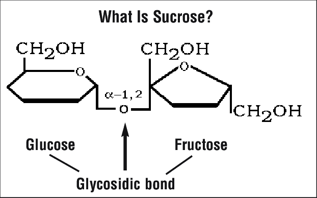 What is the difference between Sucrose, Glucose and Fructose? | Vinmec