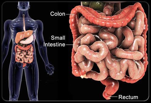 What should a patient with inflammatory bowel disease (IBD) do when stressed?