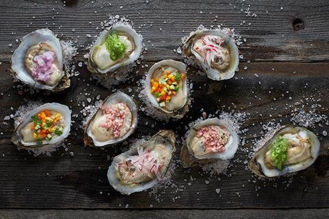 Dangers of eating contaminated raw oysters