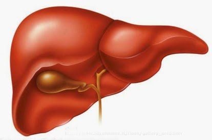 Tăng men GGT: Những điều cần biết