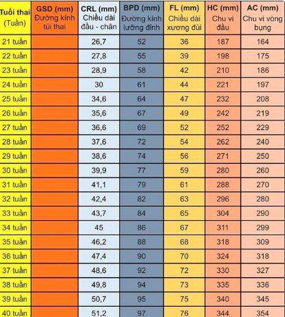 
Các chỉ số kích thước thai nhi trong siêu âm doppler thai nhi
