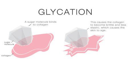 
Thụ thể sản phẩm cuối glycation tiên tiến là một protein xuyên màng đơn
