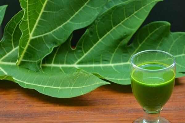 What are the benefits of drinking papaya leaf juice Vinmec